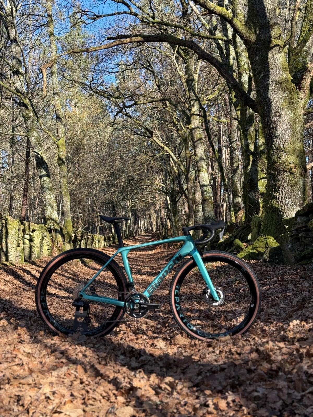 bicicleta-gravel-bianchi-impulso-rc-grx-825-di2-2x12sp-celeste-metallic_pic474526ni0t0.jpg Bicicleta Gravel BIANCHI Impulso RC - GRX 825 DI2 2x12sp CELESTE METALLIC - Imagen 1