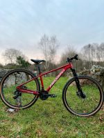 Bicicleta Infantil 29" MEGAMO DX3. ROJO - Imagen 2
